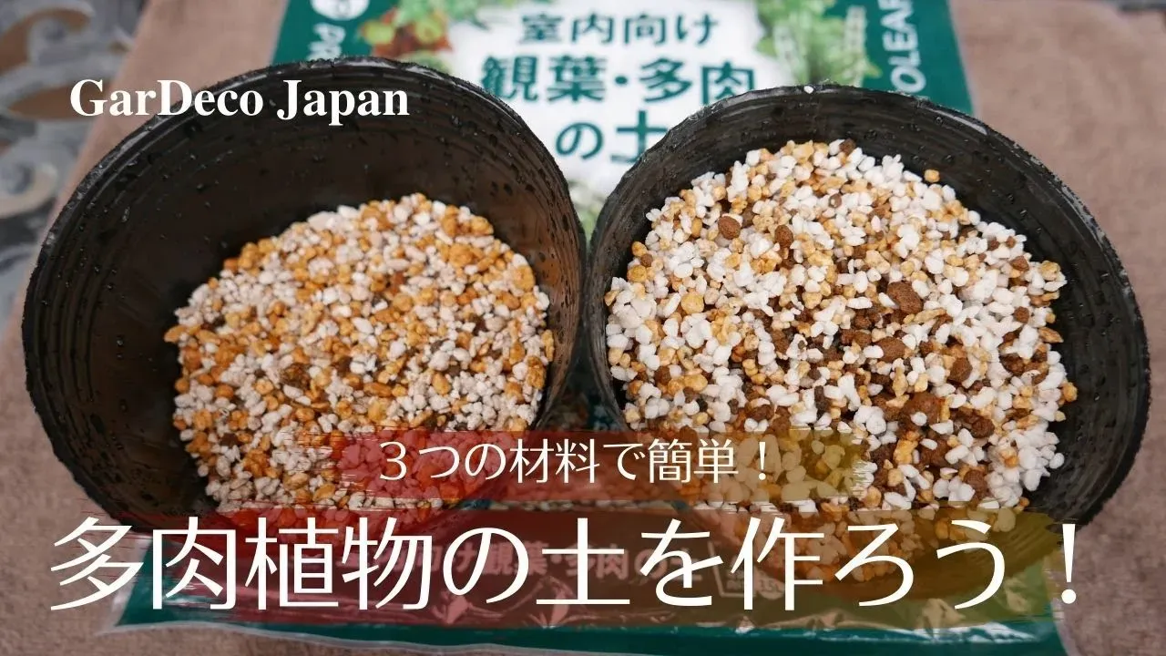 多肉植物の健康と美しさを手に入れる！失敗しない土 作り方の絶対法則